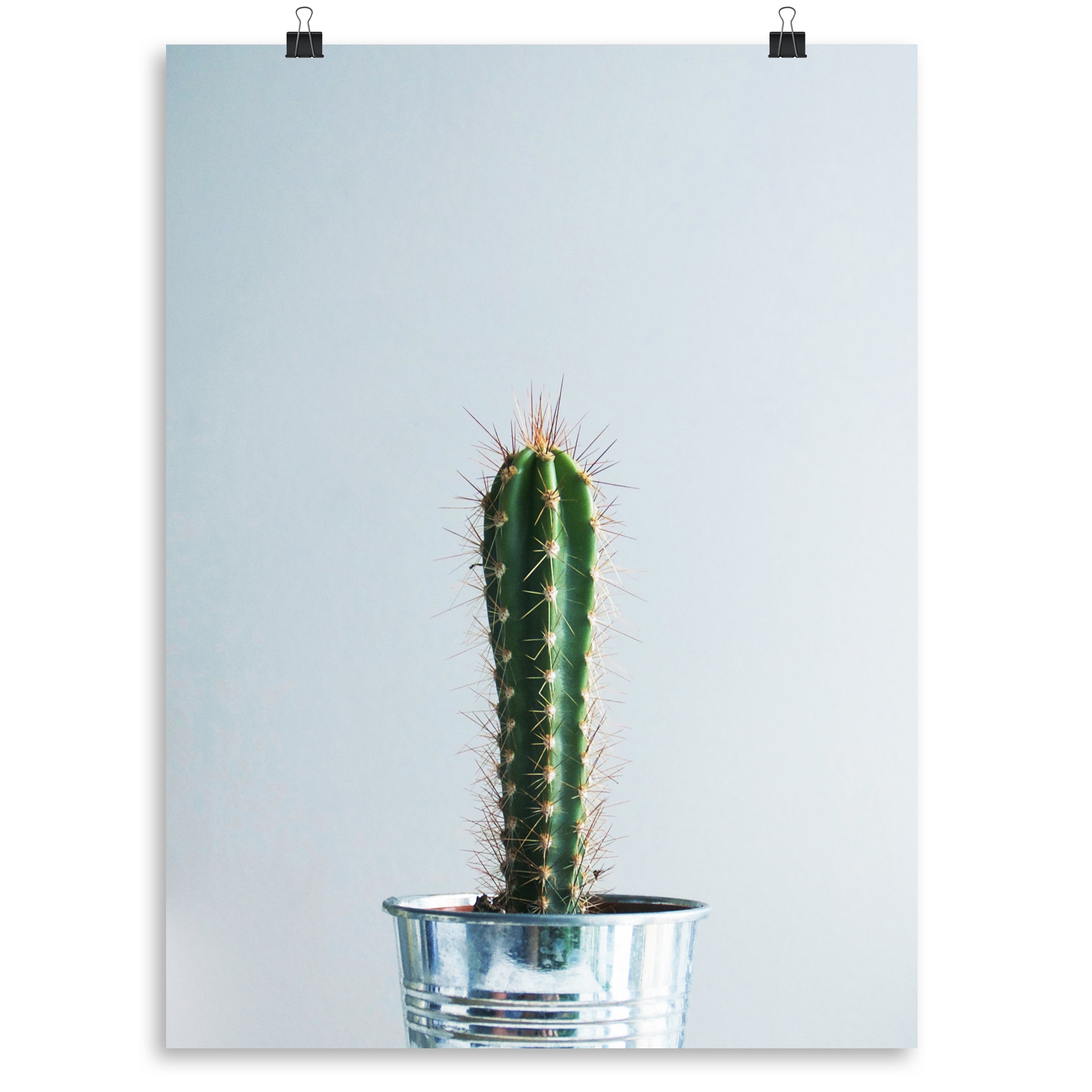 "Spike" Cactus Print