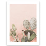 Cactus on Pink Wall Art Print