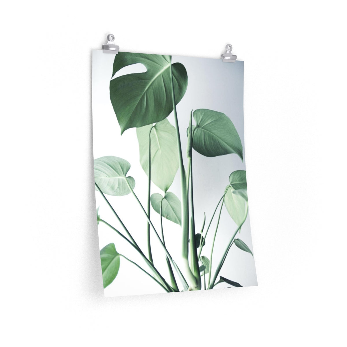 Monstera 3 Print