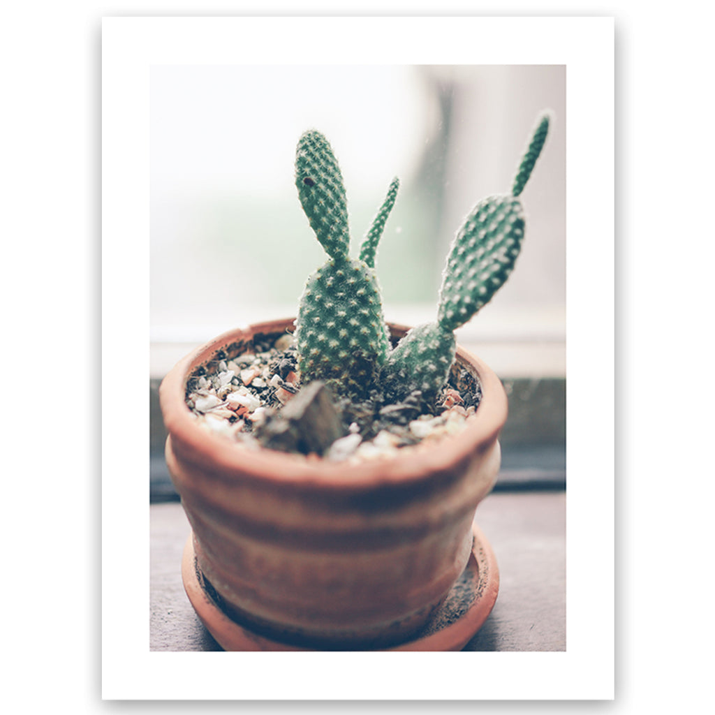 Bunny Ears Cactus Wall Art Print