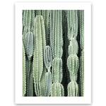 Cactus Wall Art Print