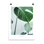 Monstera Leaf Art Print