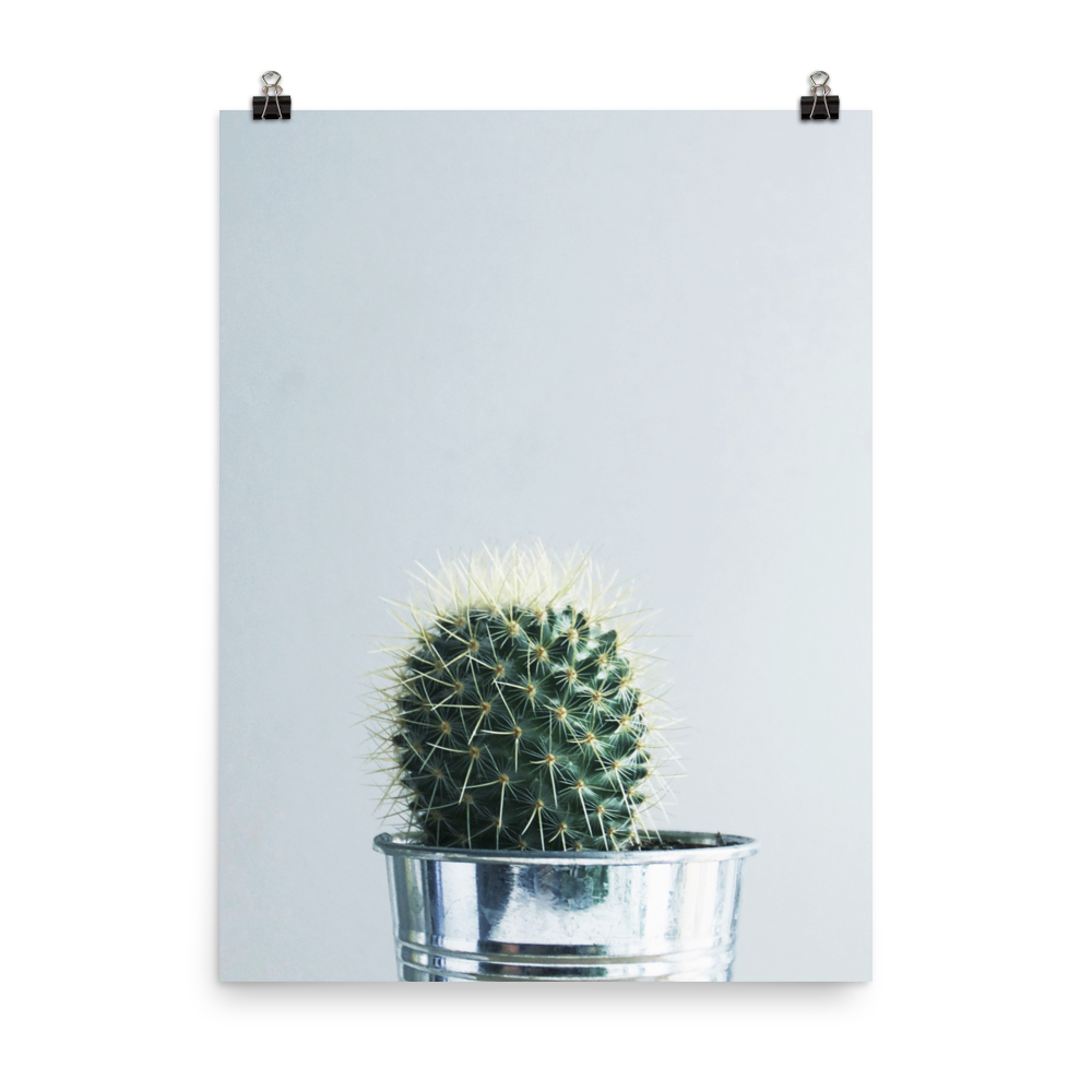 Miss Spike Art Print