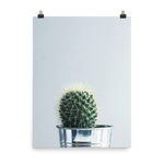 Miss Spike Art Print