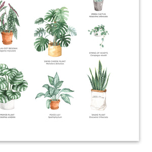 house plants chart Houseplants Chart Wall Art Print – Wild Abode
