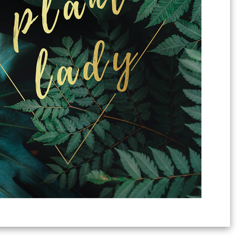 Crazy Plant Lady Print