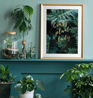 Crazy Plant Lady Print