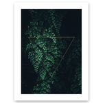 Maiden Hair Fern & Triangle Print