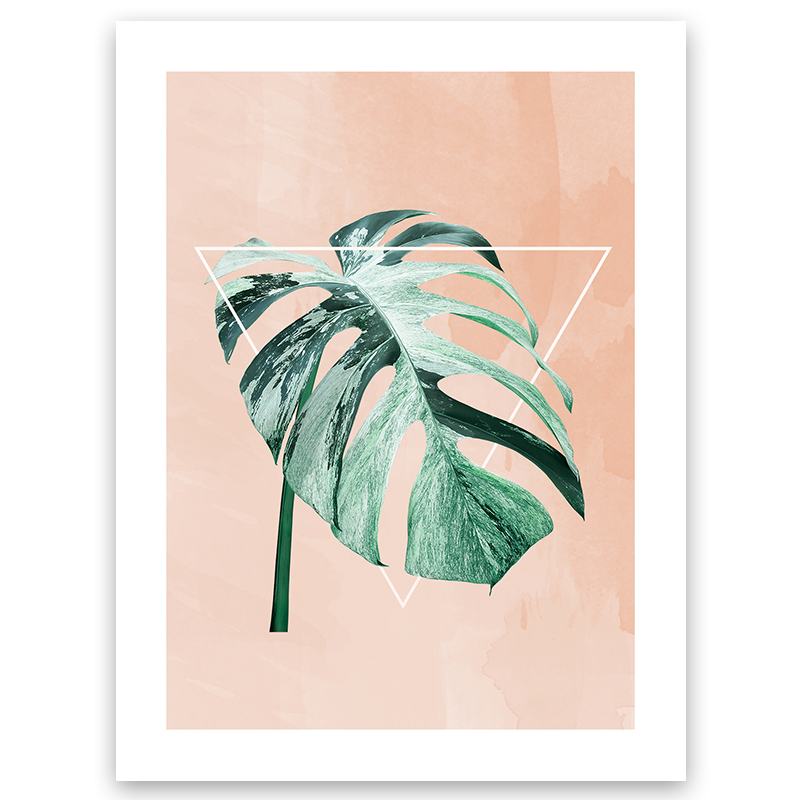 pink variegated monstera Variegated Monstera Art Print (1 of 3) – Wild Abode